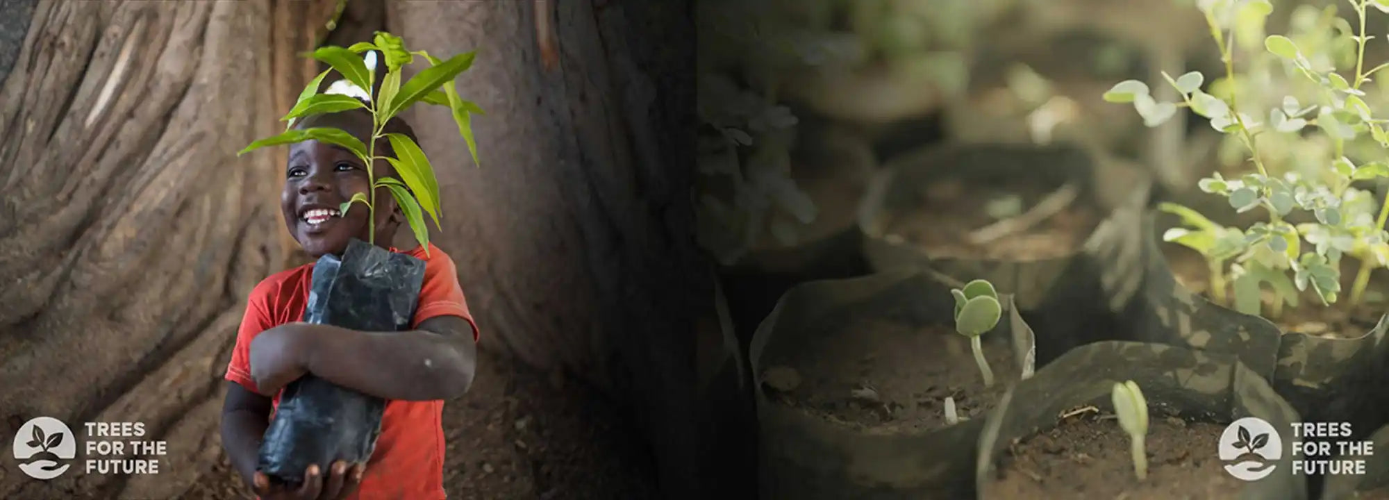 Mary Frances plants trees with Trees for the Future